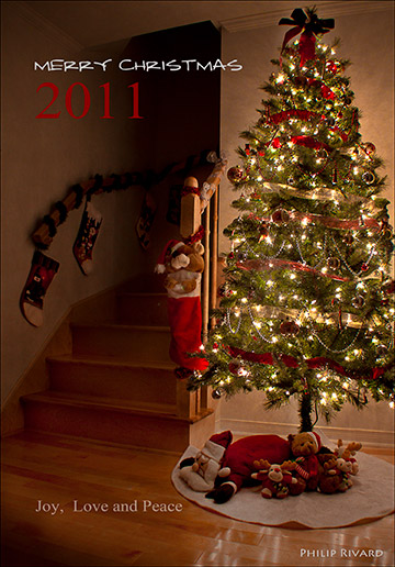 Merry Christmas