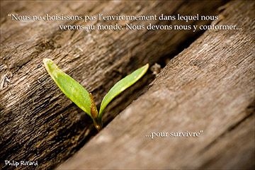 Prendre racine