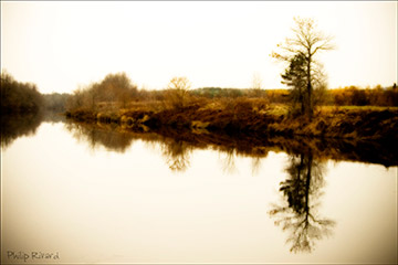 I had a river